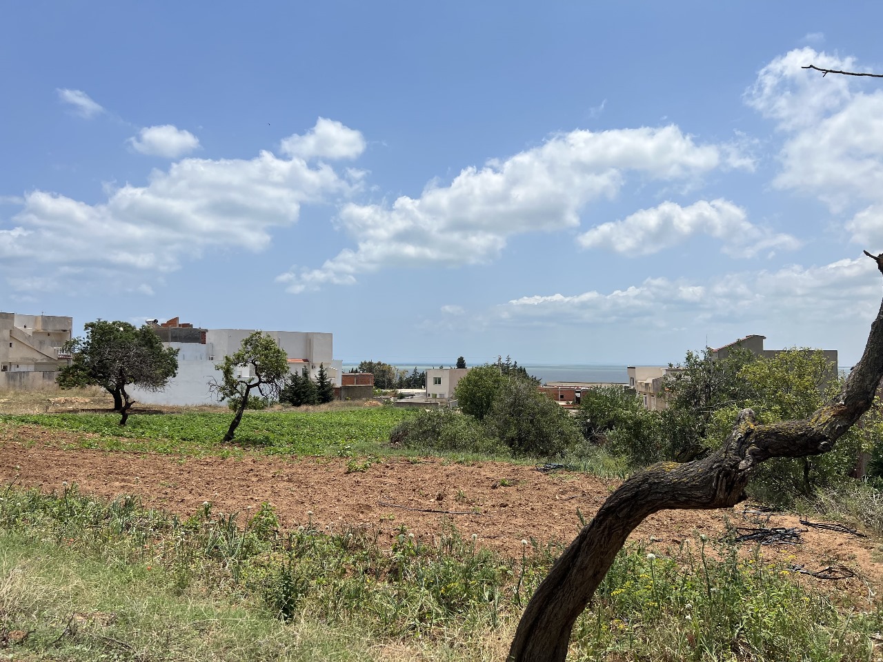 Ghar El Melh&nbsp;Ghar El Melh&nbsp;Terrain&nbsp;Terrain nu&nbsp;Terrain d'exception 1645 m2 ghar el melh