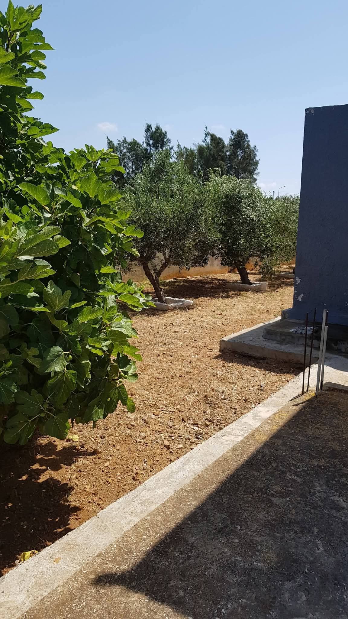 El Haouaria&nbsp;Sidi Daoud&nbsp;Vente&nbsp;Maisons&nbsp;Villa confortable ds 1000m2