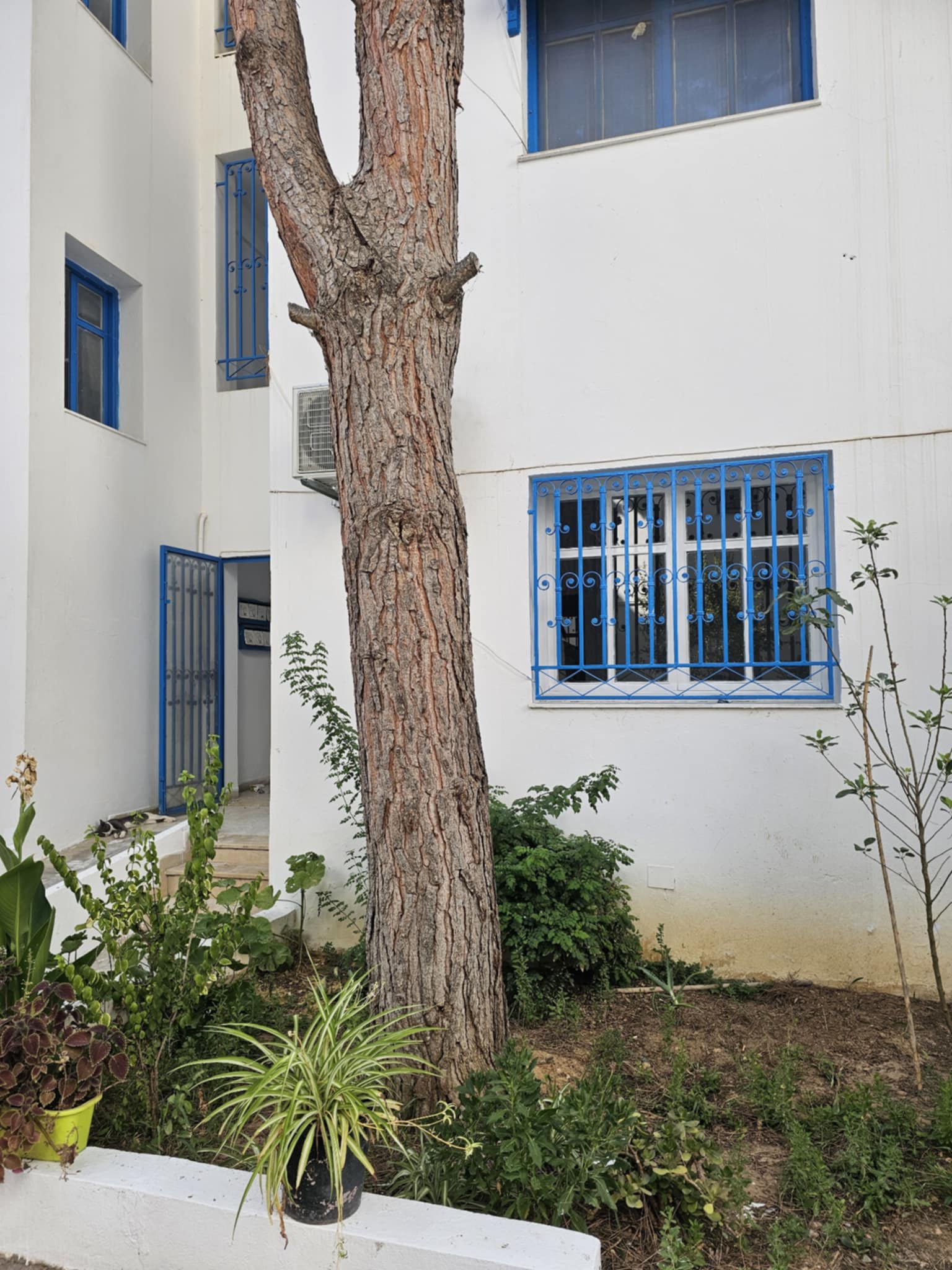 Carthage&nbsp;Sidi Bousaid&nbsp;Location&nbsp;Appart. 2 pi�ces&nbsp;S2 � sidi bou said amilcar