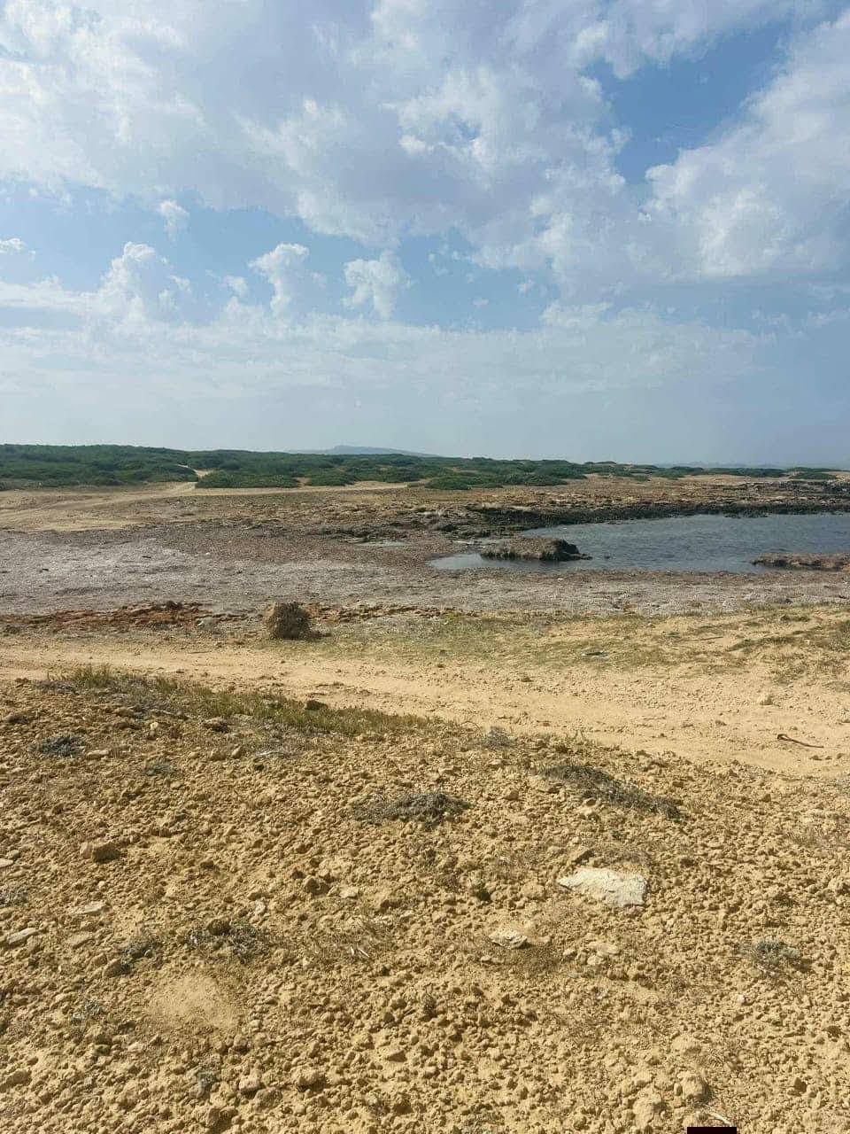 El Haouaria&nbsp;El Haouaria&nbsp;Terrain&nbsp;Terrain agricole&nbsp;Offre 20000
