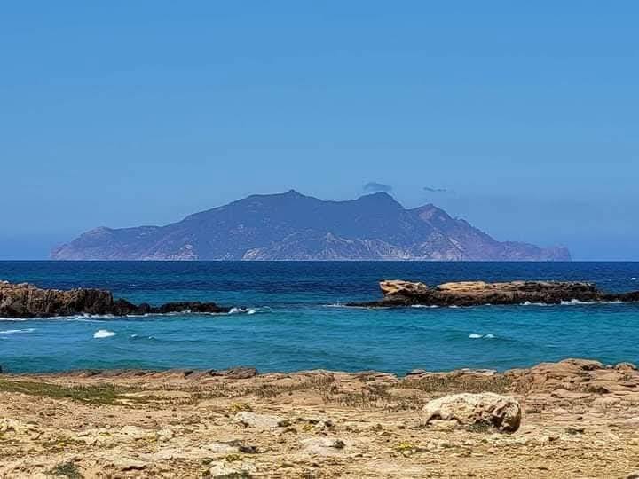 El Haouaria&nbsp;El Haouaria&nbsp;Terrain&nbsp;Terrain agricole&nbsp;Offre 20000