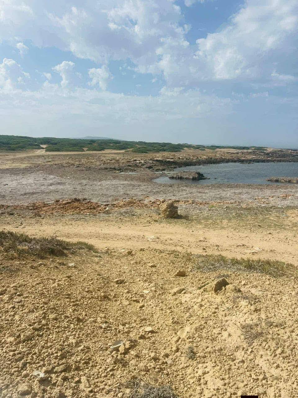 El Haouaria&nbsp;El Haouaria&nbsp;Terrain&nbsp;Terrain agricole&nbsp;Offre 20000