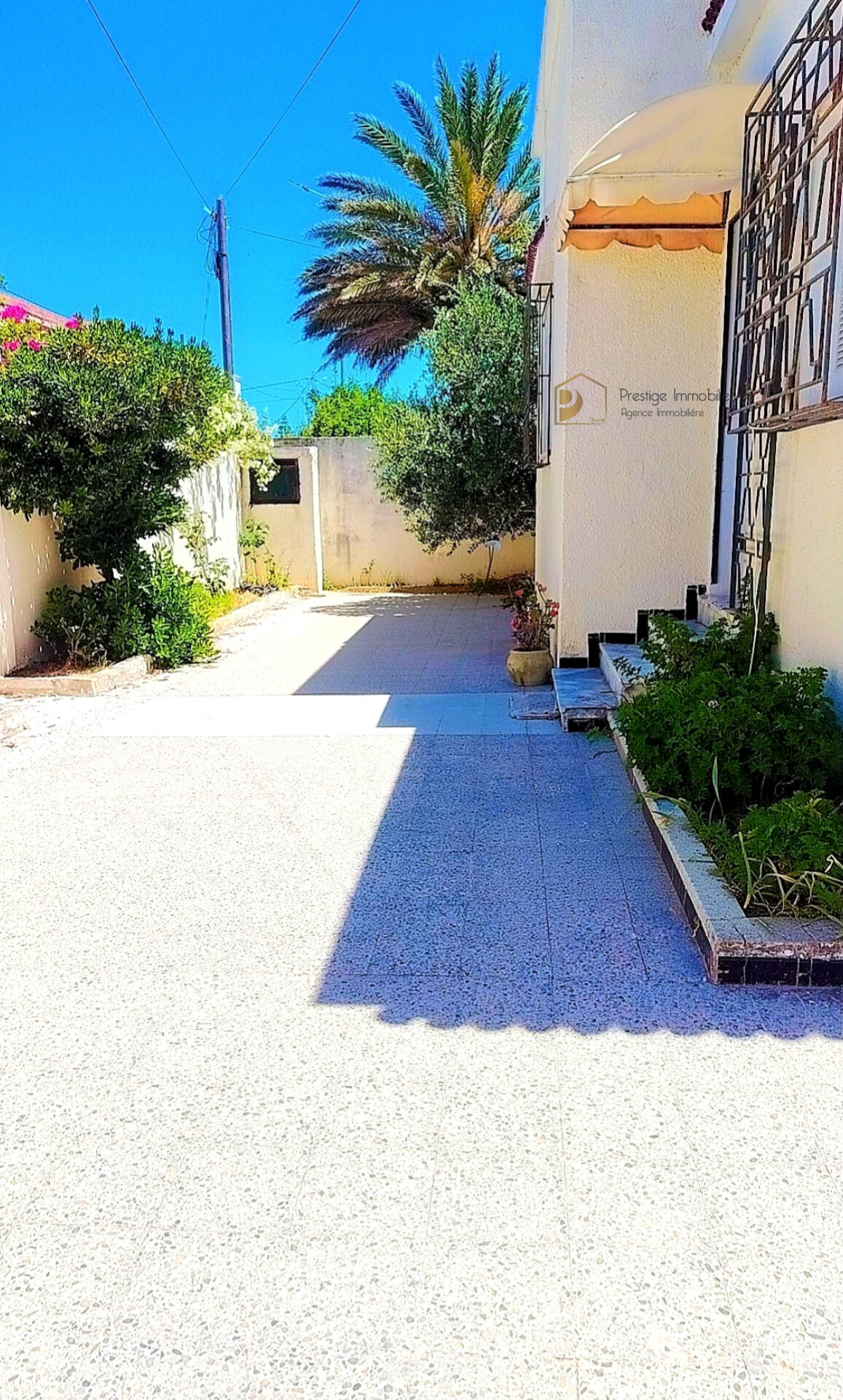 Soliman&nbsp;Soliman&nbsp;Vente&nbsp;Maisons&nbsp;Villa 3s avec studio