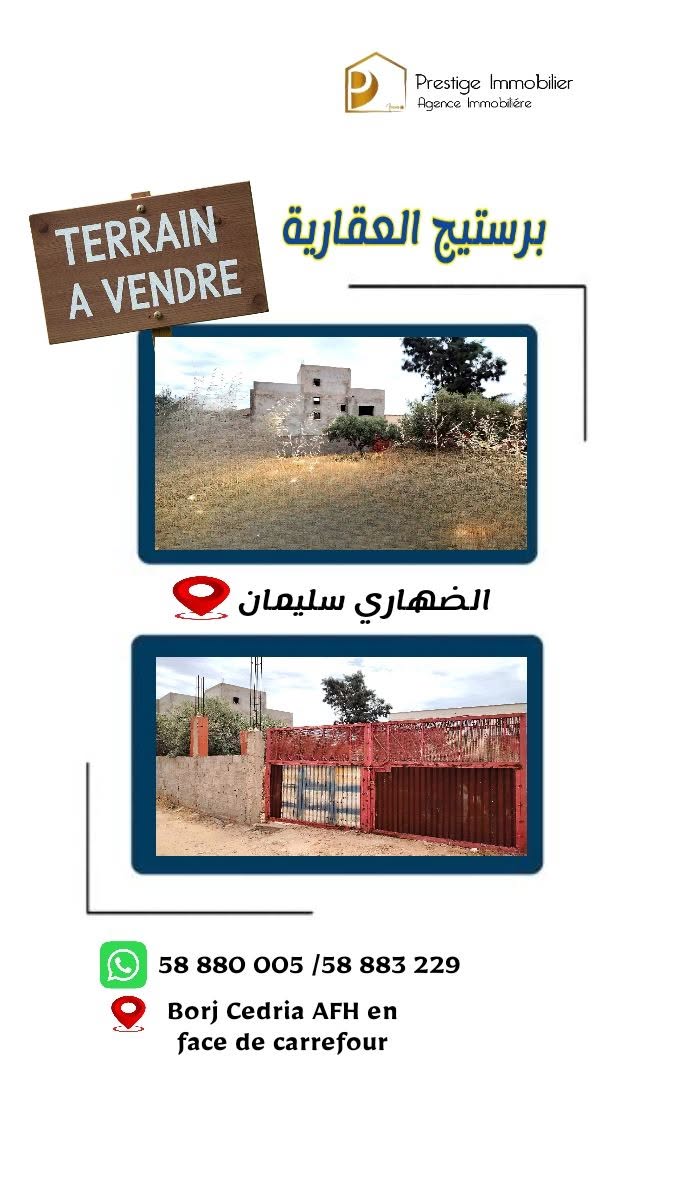 Soliman&nbsp;Dhahri&nbsp;Vente&nbsp;Surfaces&nbsp;Surface terrain agricole