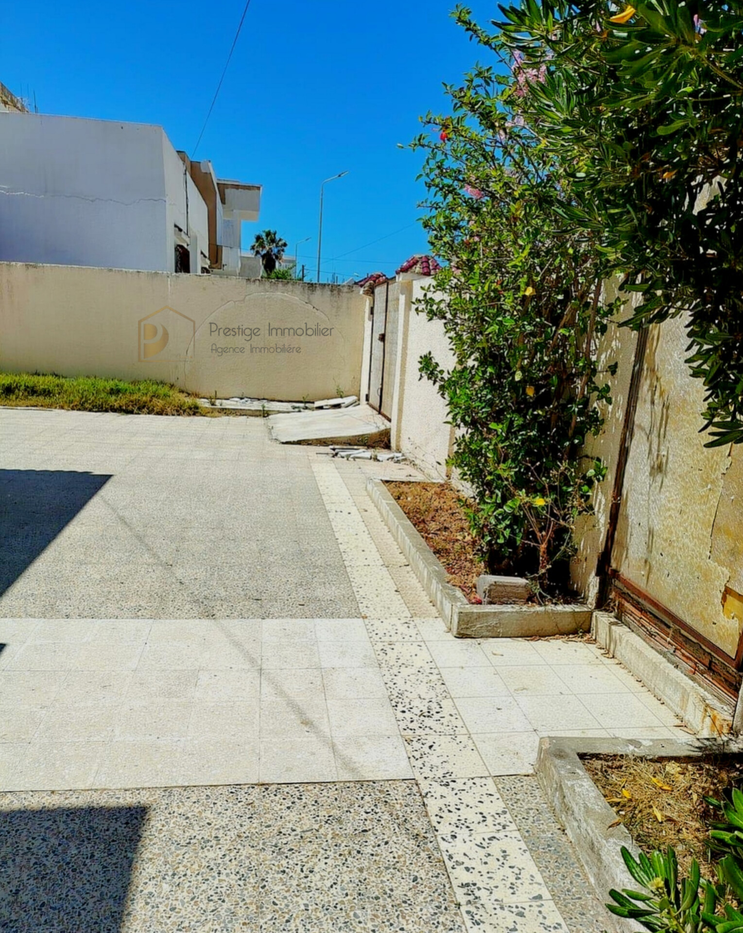 Soliman&nbsp;Soliman&nbsp;Vente&nbsp;Maisons&nbsp;Villa s3 avec studio