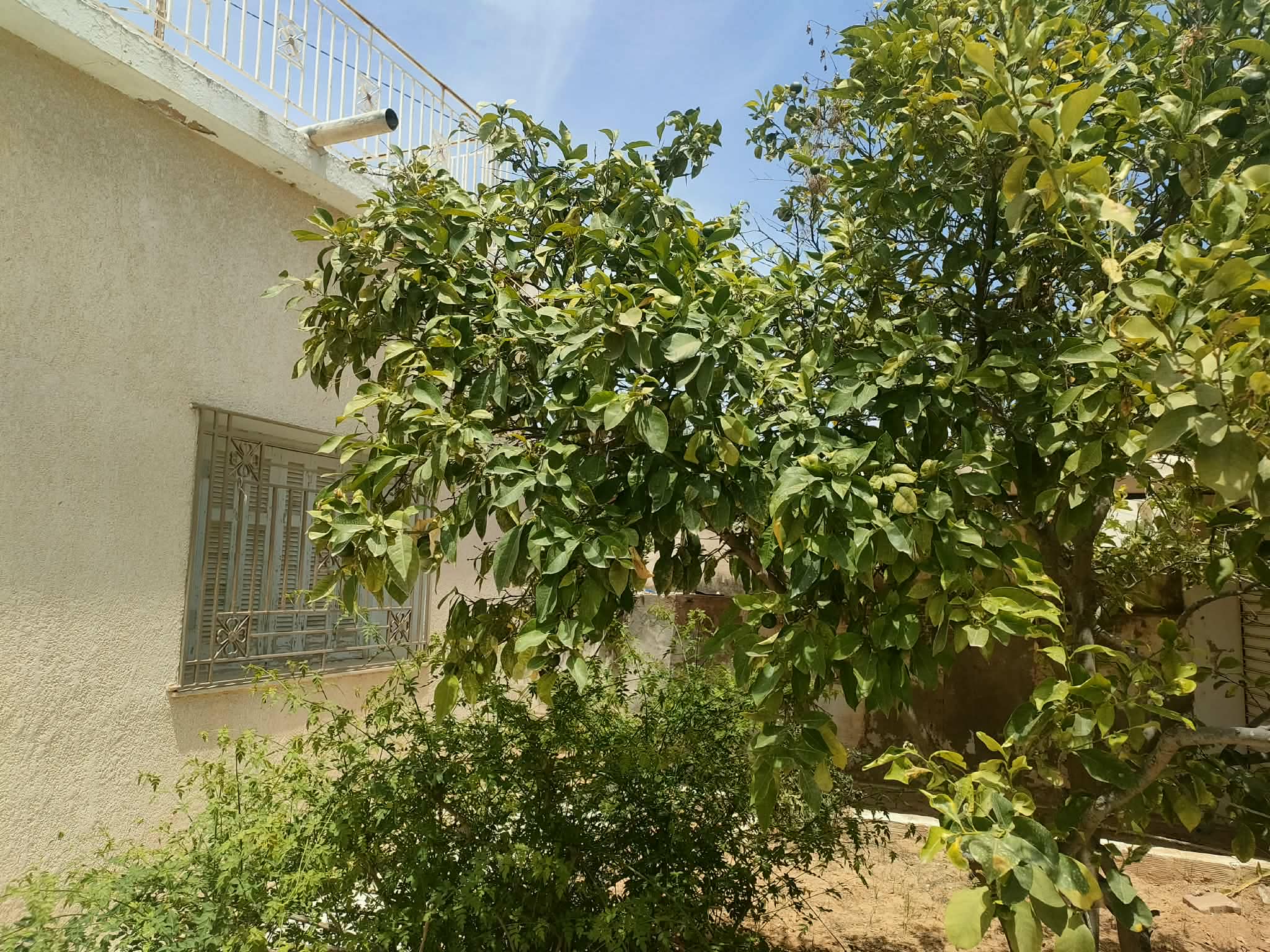 Vente&nbsp;Maisons - Tunisie