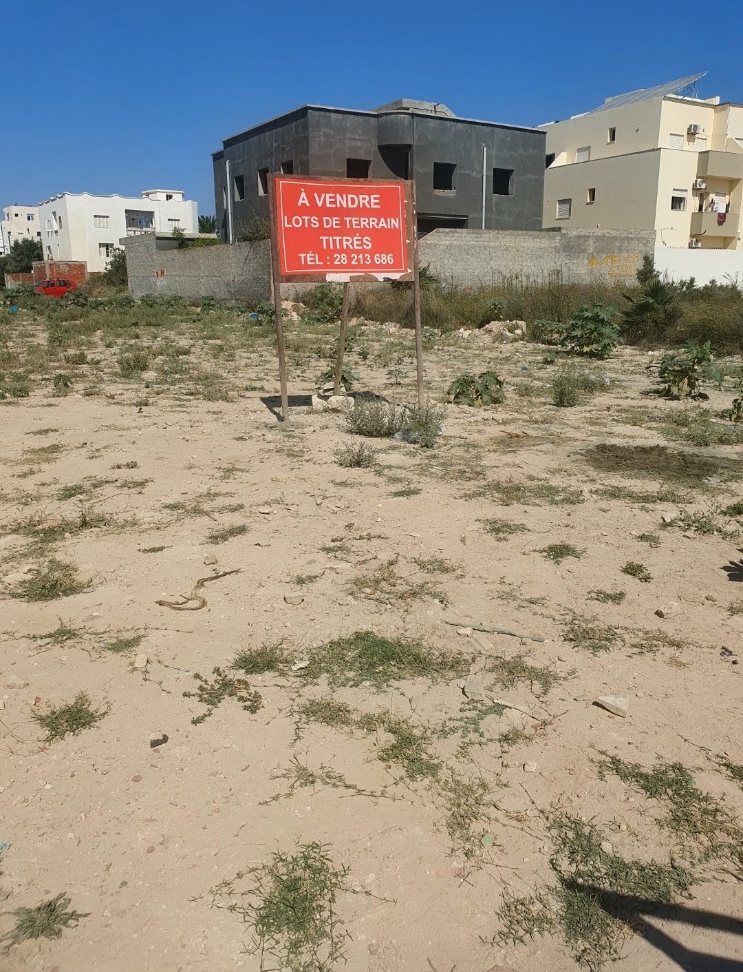 Mahdia&nbsp;Rejiche&nbsp;Terrain&nbsp;Terrain nu&nbsp;Terrain titr�s a rejiche