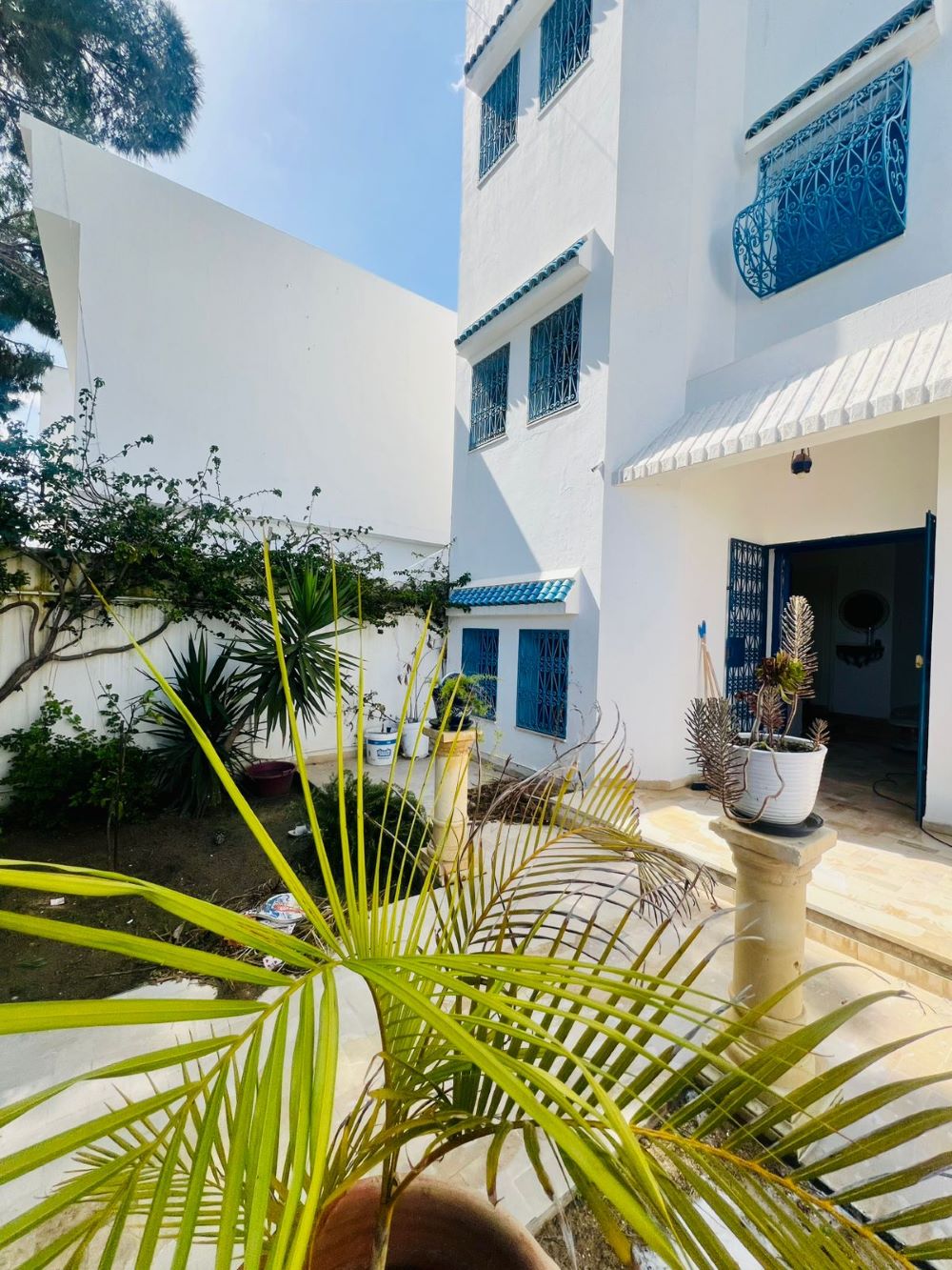 Hammamet&nbsp;Hammamet&nbsp;Vente&nbsp;Maisons&nbsp;V616 maison la palma bn