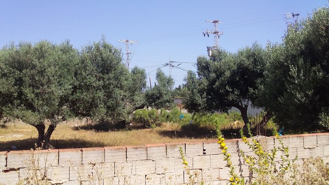 Raoued&nbsp;Borj Touil&nbsp;Terrain&nbsp;Terrain nu&nbsp;Terrain � borj touil