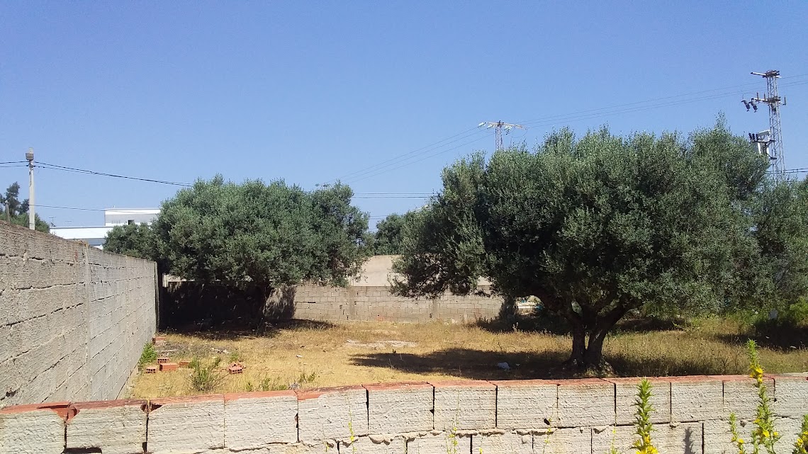 Raoued&nbsp;Borj Touil&nbsp;Terrain&nbsp;Terrain nu&nbsp;Terrain � borj touil