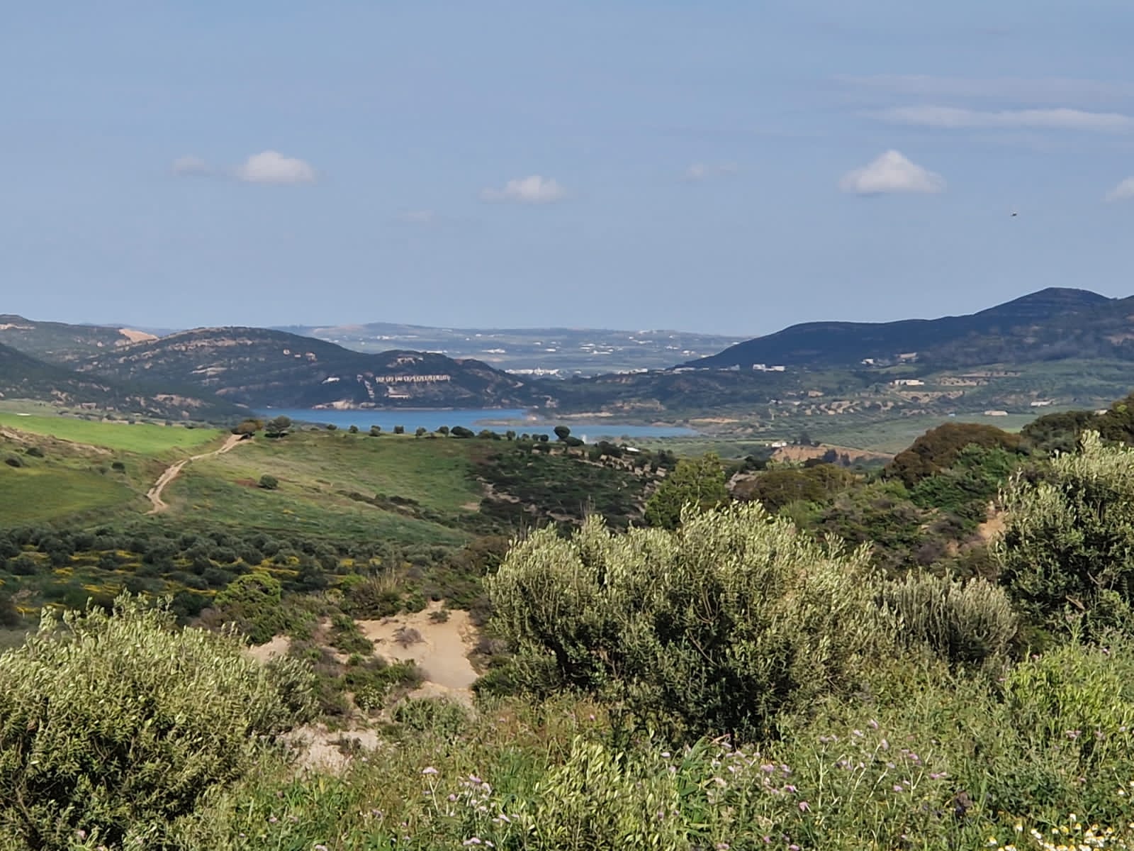 Grombalia&nbsp;Jebel Trif&nbsp;Terrain&nbsp;Terrain agricole&nbsp;Terrain agricole � grombalia jebel trif