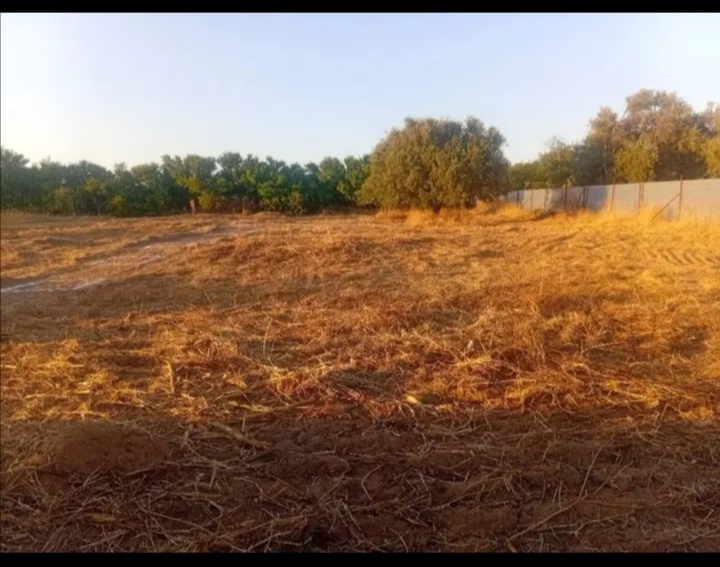 Menzel Bourguiba&nbsp;Menzel Bourguiba&nbsp;Terrain&nbsp;Terrain nu&nbsp;Terrain � tinja