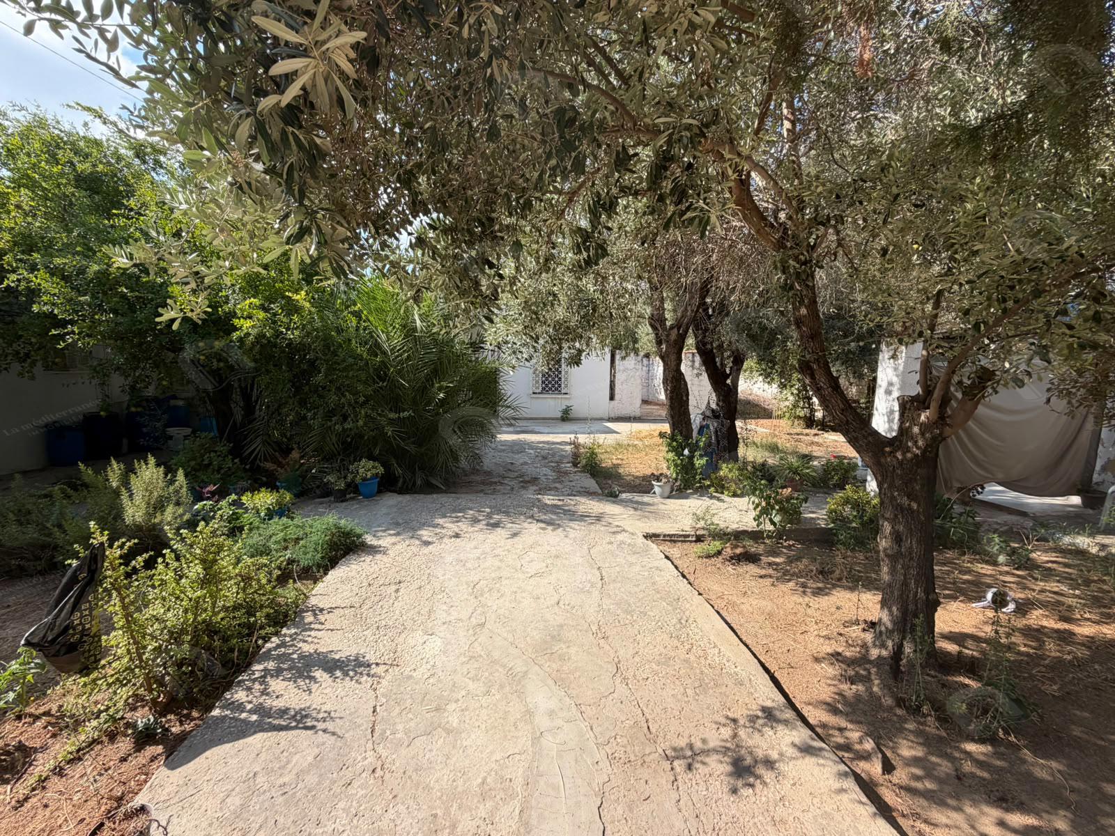 Le Bardo&nbsp;Le Bardo&nbsp;Vente&nbsp;Autre&nbsp;Grande propri�t� de 598 m2 au bardo cit� saada