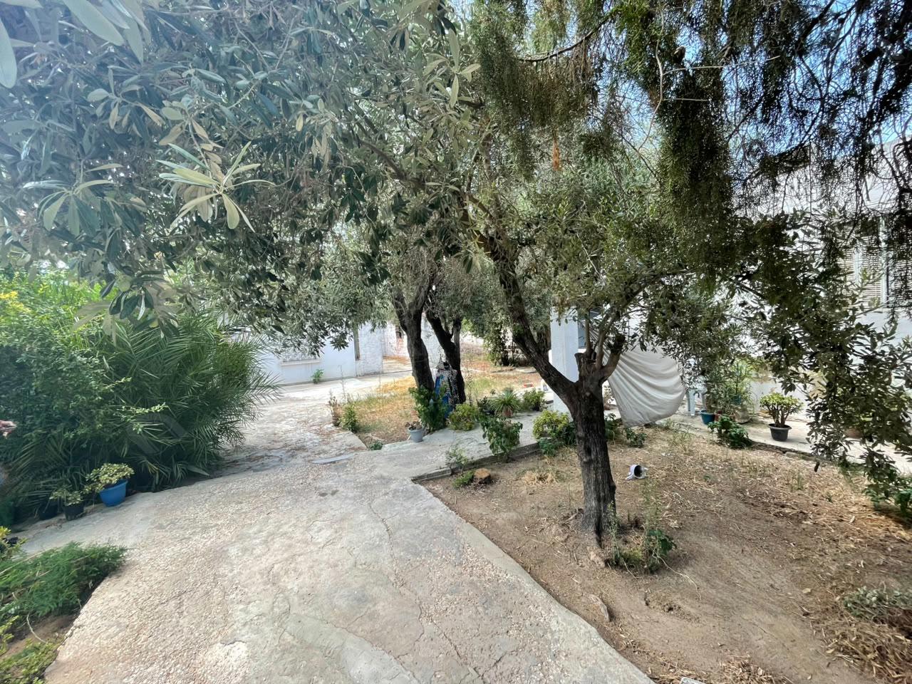 Le Bardo&nbsp;Le Bardo&nbsp;Vente&nbsp;Autre&nbsp;Grande propri�t� de 598 m2 au bardo cit� saada