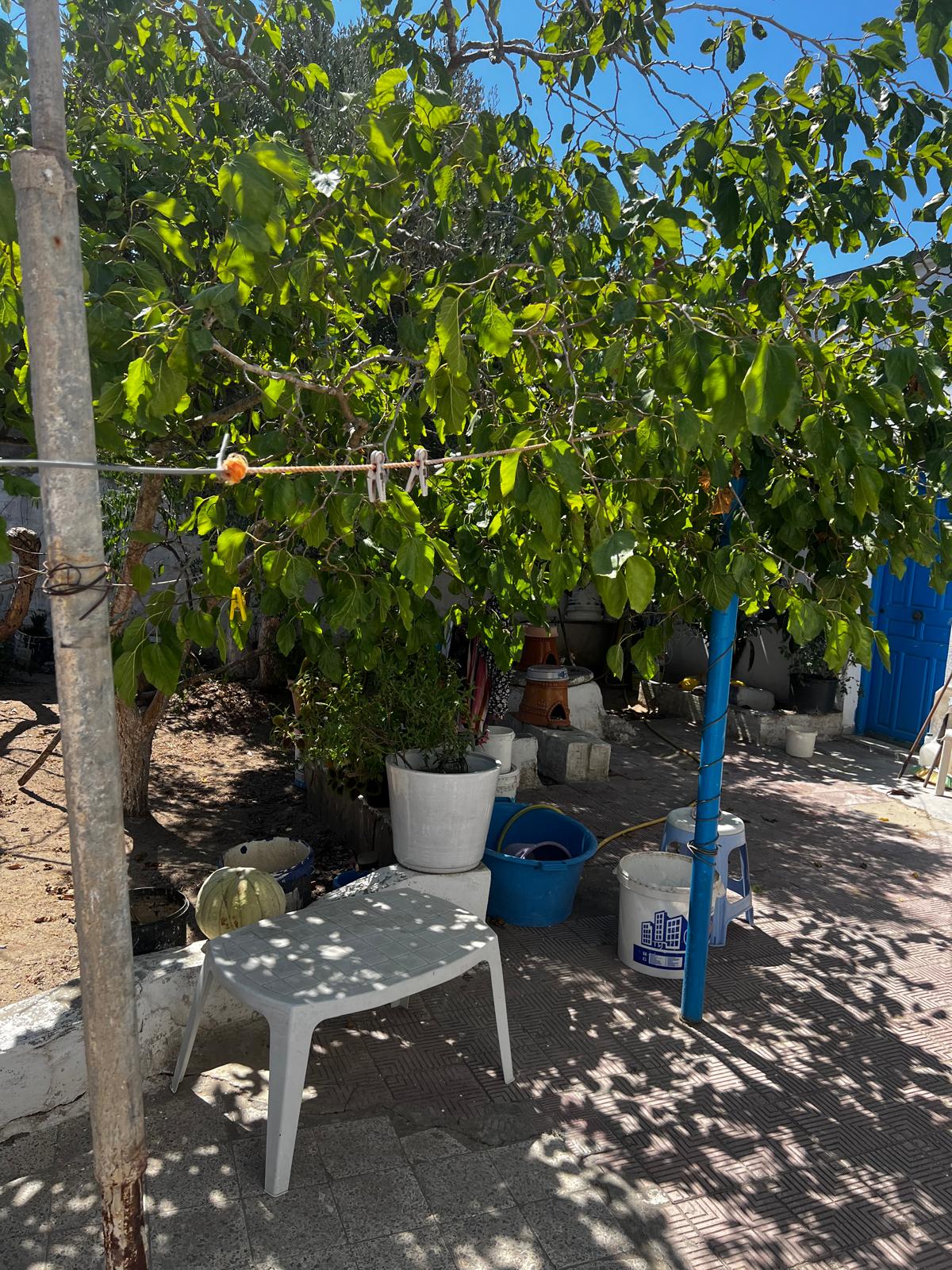 Kelibia&nbsp;Kelibia&nbsp;Vente&nbsp;Maisons&nbsp;Maison arabe a kelibia