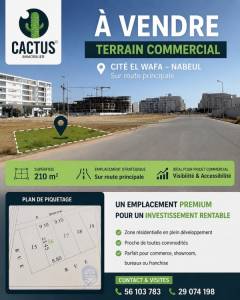 Vente&nbsp;Surfaces - Tunisie