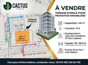 Vente&nbsp;Surfaces - Tunisie