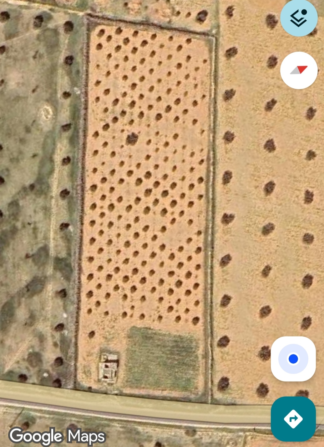 Sakiet Eddaier&nbsp;Sidi Mansour&nbsp;Terrain&nbsp;Terrain agricole&nbsp;1 er position sur la route