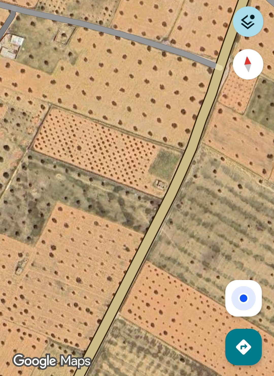 Sakiet Eddaier&nbsp;Sidi Mansour&nbsp;Terrain&nbsp;Terrain agricole&nbsp;1 er position sur la route