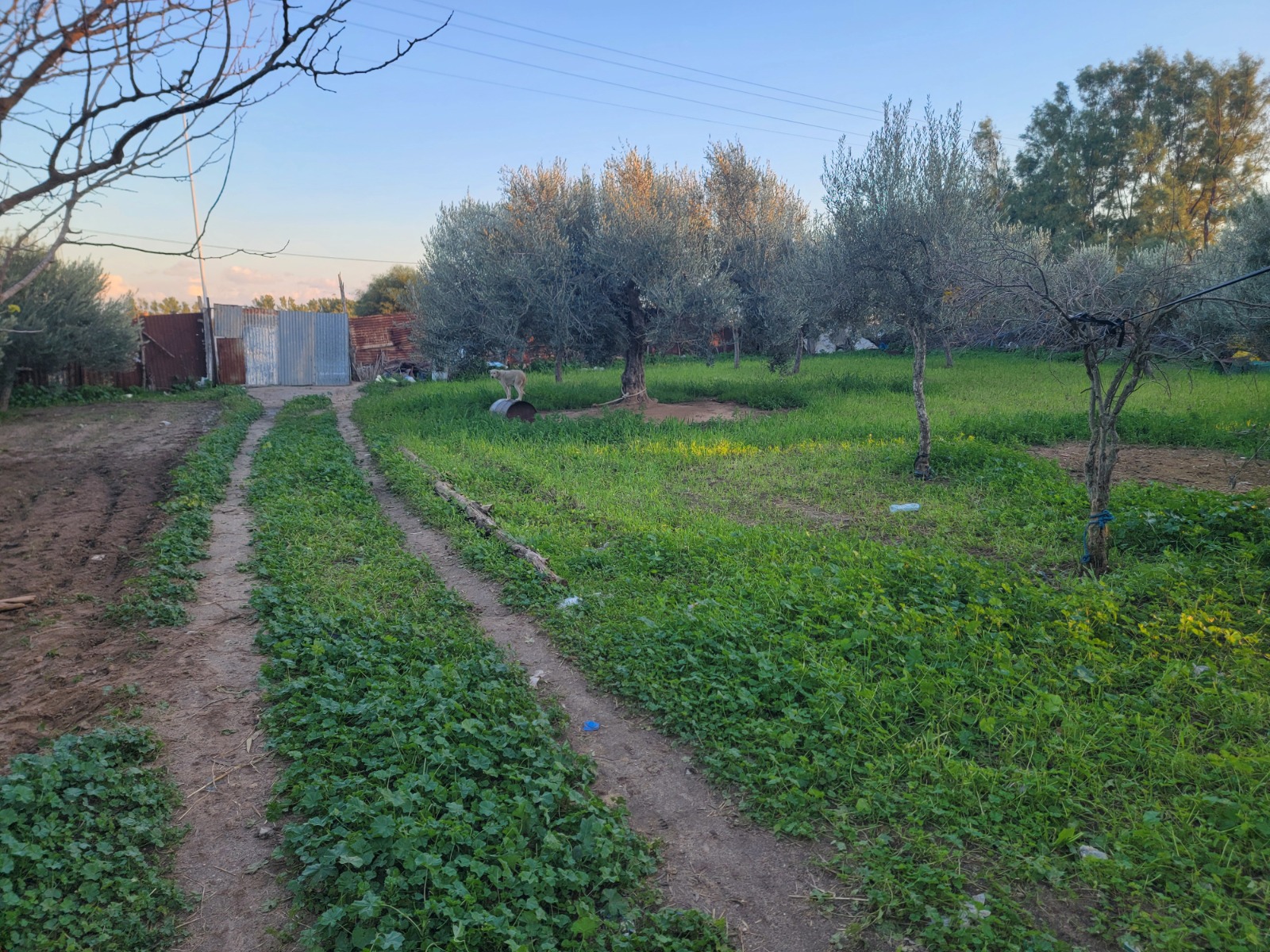 Vente&nbsp;Autre - Tunisie