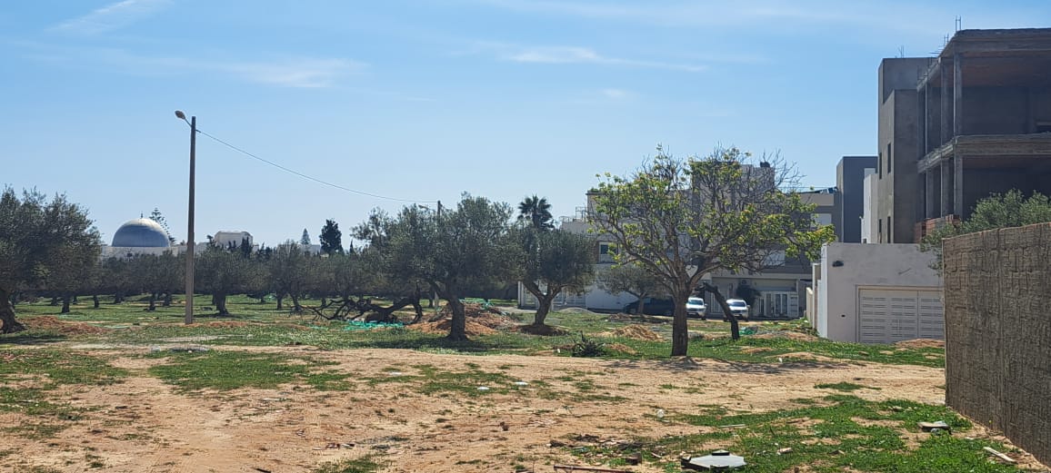 Nabeul&nbsp;Nabeul&nbsp;Terrain&nbsp;Terrain nu&nbsp;Un  de terrain a hammamet mrezga
