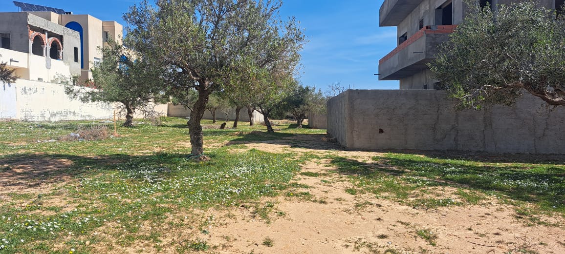Nabeul&nbsp;Nabeul&nbsp;Terrain&nbsp;Terrain nu&nbsp;Un  de terrain a hammamet mrezga
