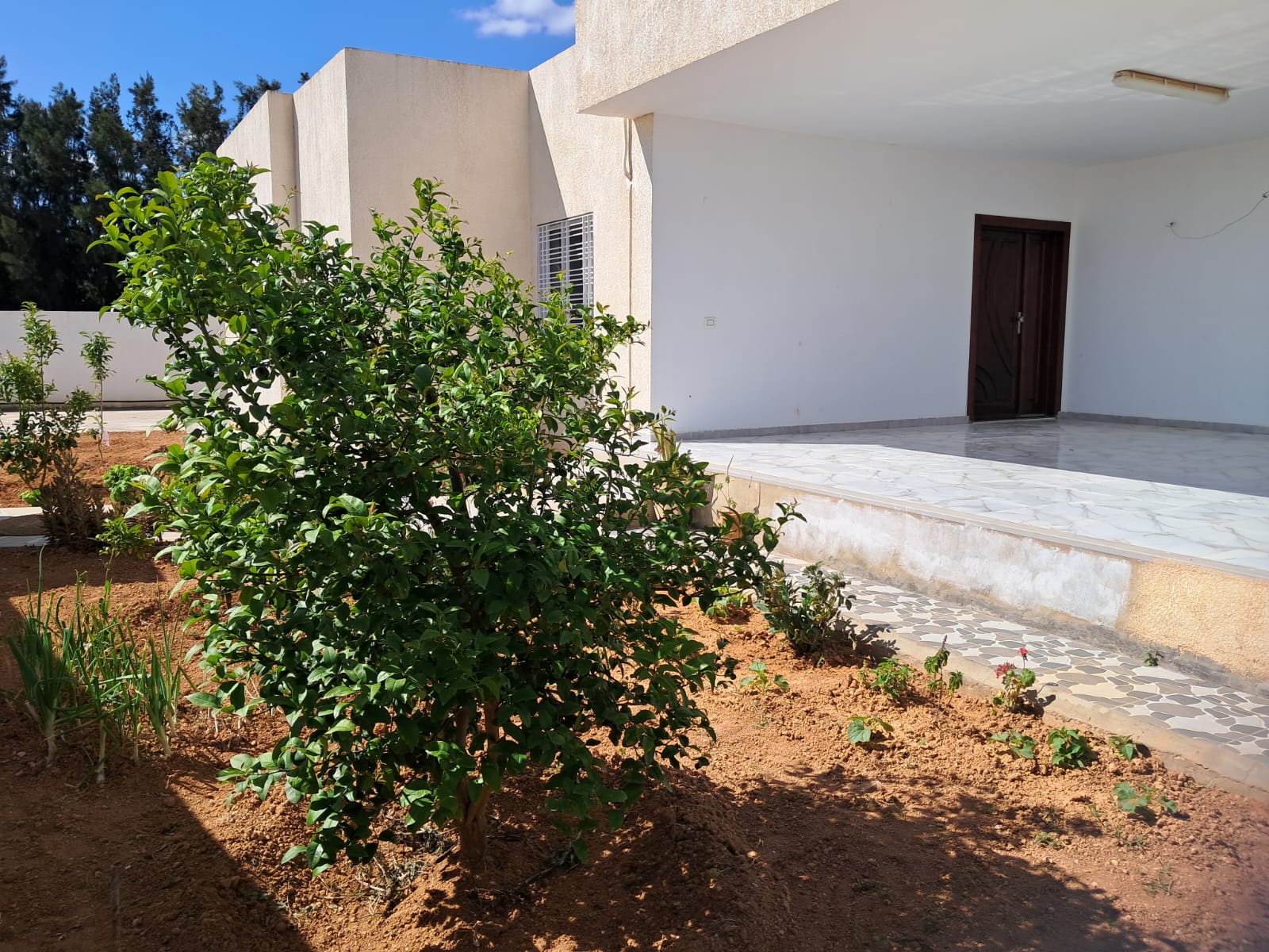 Vente&nbsp;Maisons - Tunisie