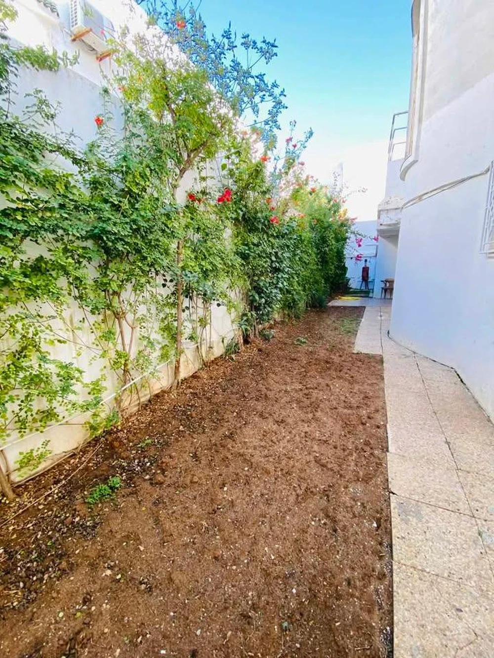 Vente&nbsp;Duplex - Tunisie
