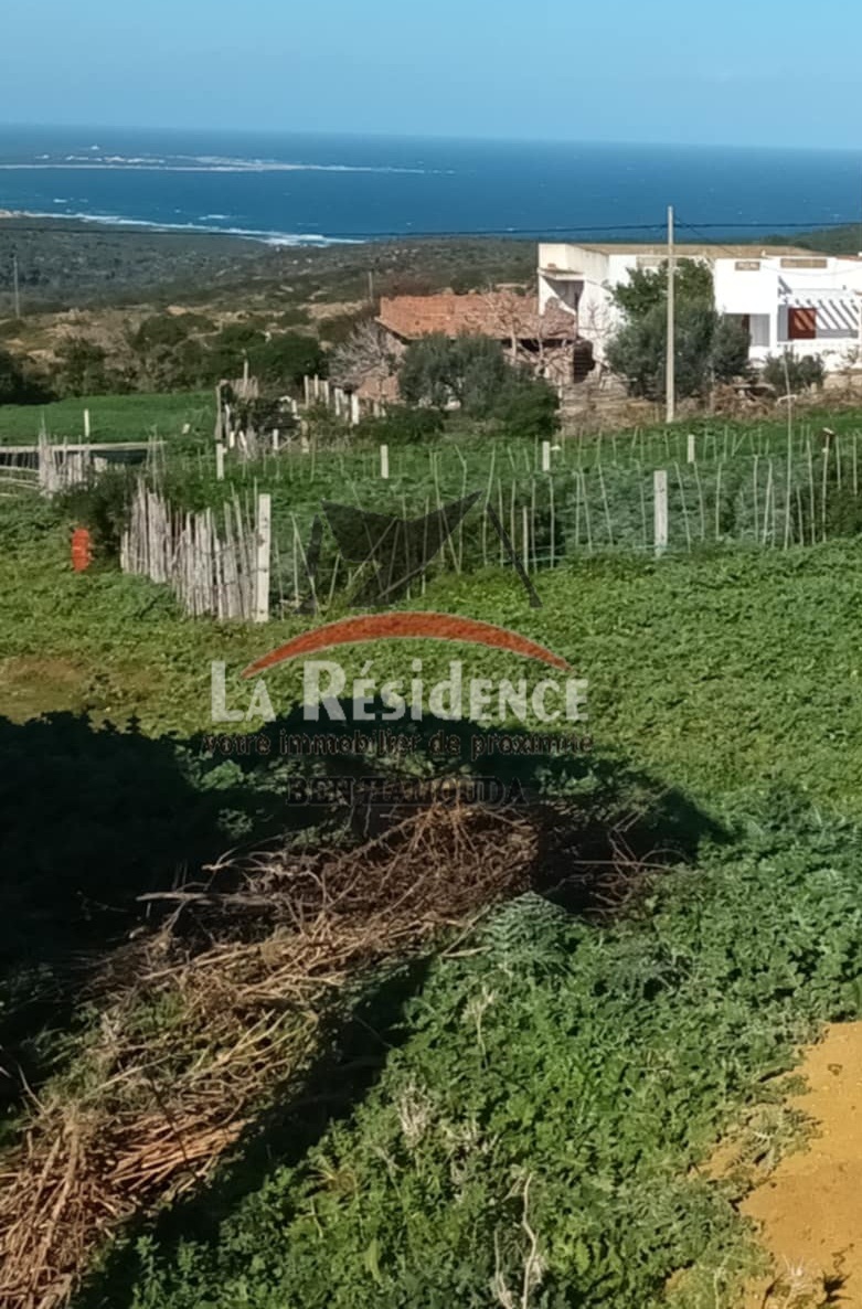 Bizerte Nord&nbsp;Bizerte&nbsp;Terrain&nbsp;Terrain nu&nbsp;Un terrain vue sur mer  situ� � nadhour bizerte