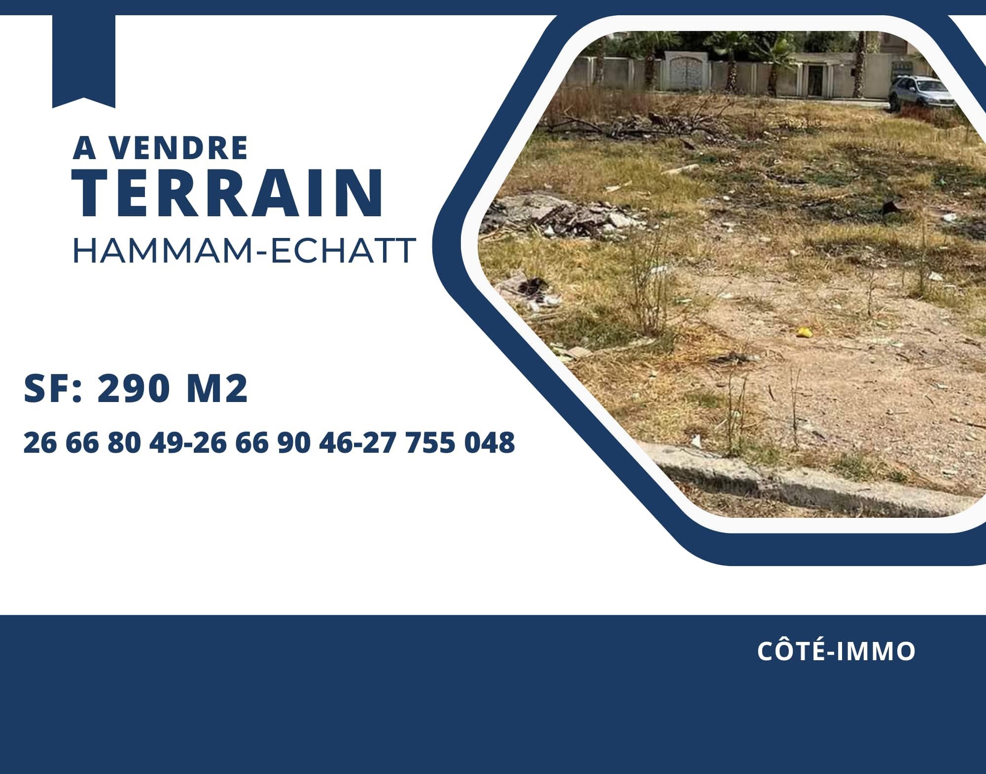 Vente&nbsp;Surfaces - Tunisie