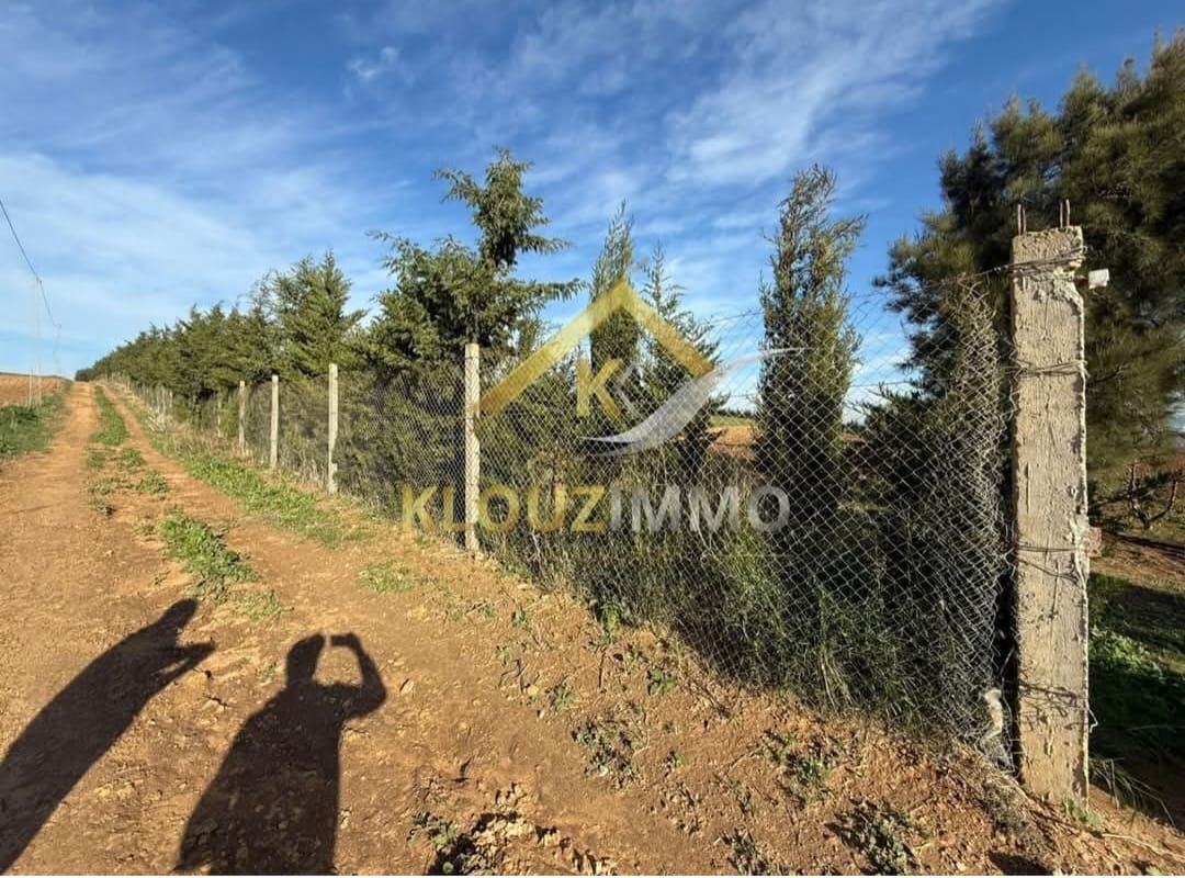 El Alia&nbsp;El Alia&nbsp;Terrain&nbsp;Terrain agricole&nbsp;Ferme agricole de 2 hectares � el khatmine bizerte